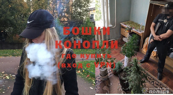 стафф Михайлов