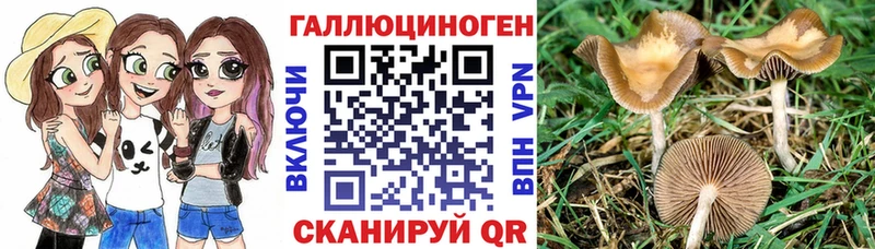 Купить где  Первоуральск  Галлюциногенные грибы MAGIC MUSHROOMS 